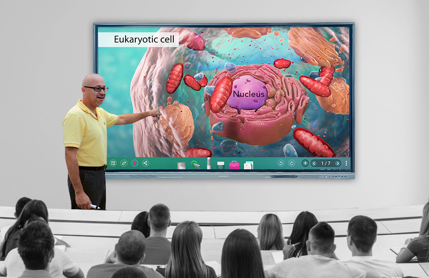 interactive flat panel display 75 inches