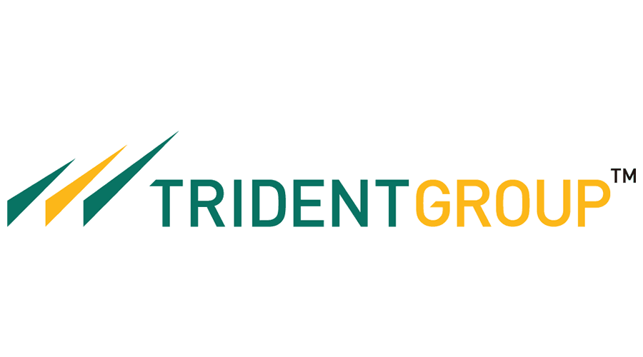 trident-group logo